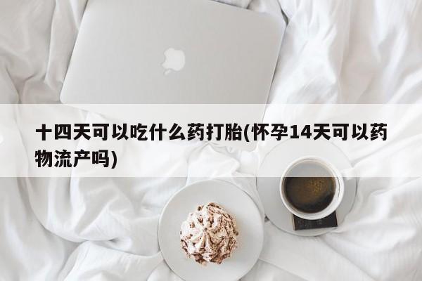 流产药购买方式十四天可以吃什么药打胎(怀孕14天可以药物流产吗)